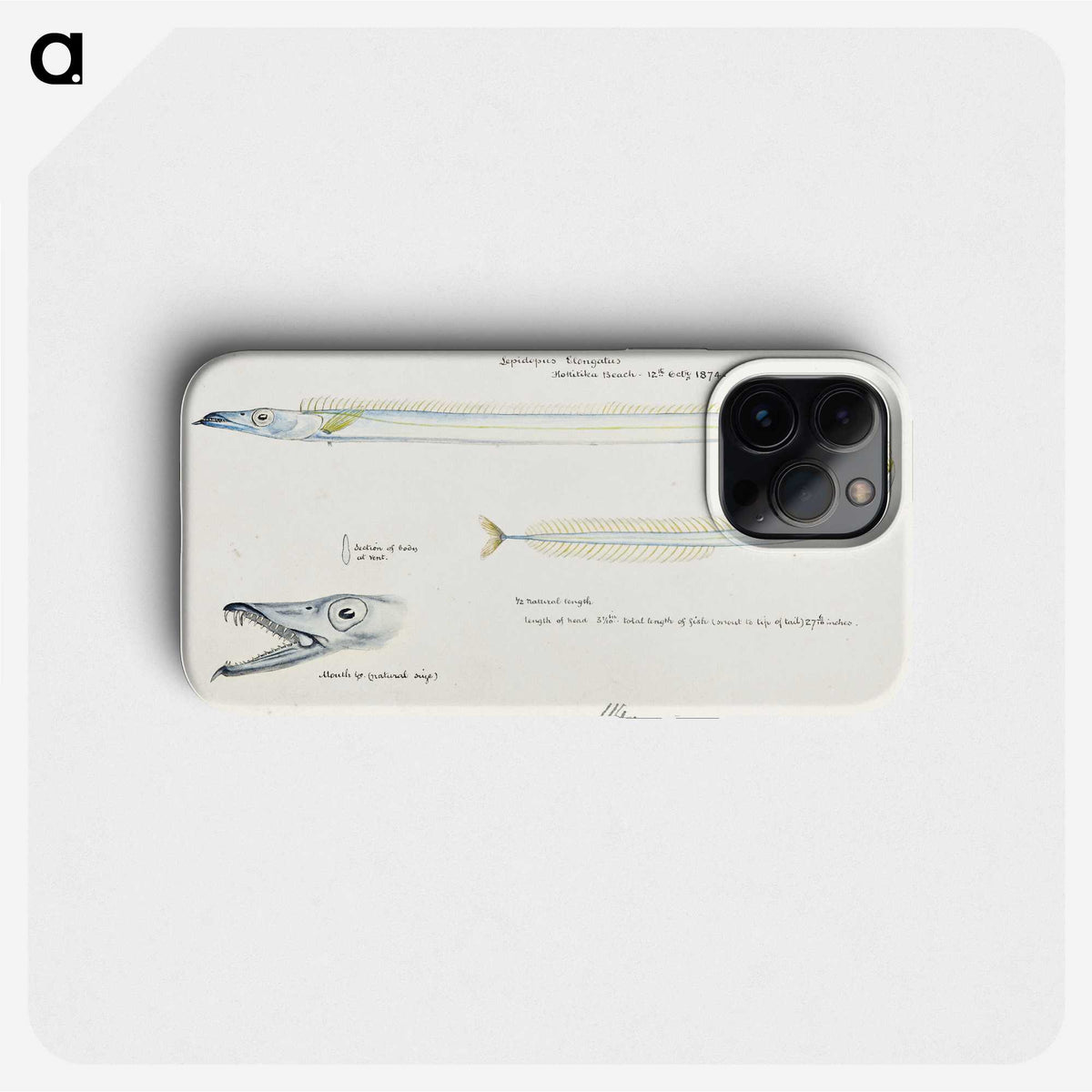 1-81_Frank-Edward-Clarke_phone