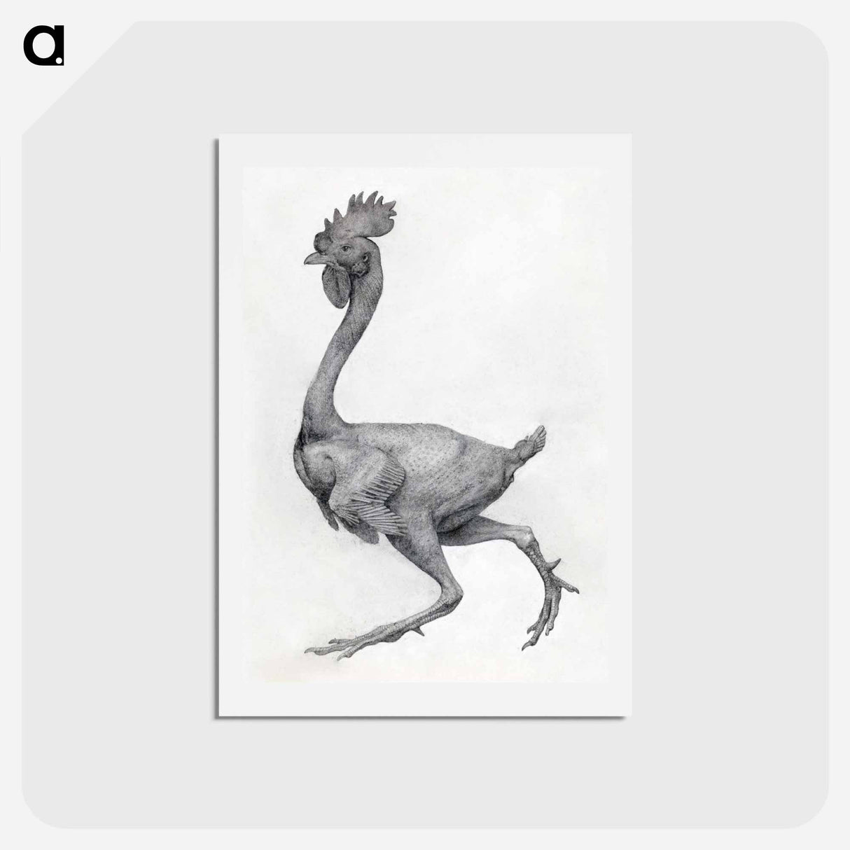 アートポストカード-Fowl, Lateral View
- ジョージ スタッブス Postcard.
