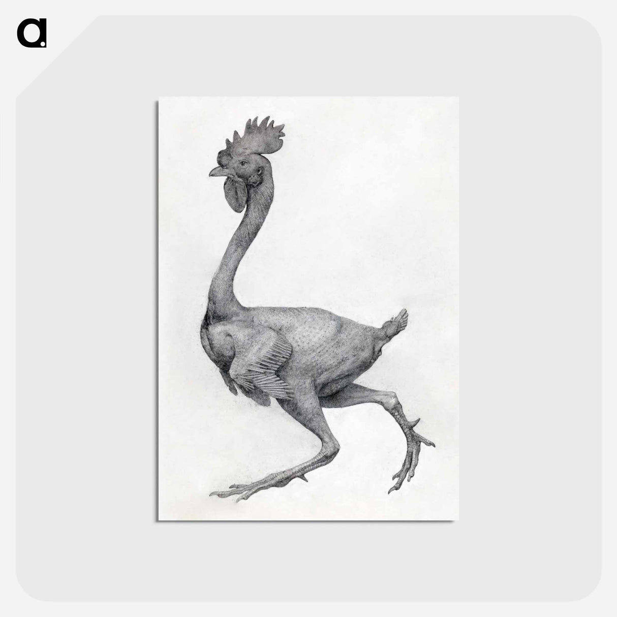 アートポストカード-Fowl, Lateral View
- ジョージ スタッブス Postcard.