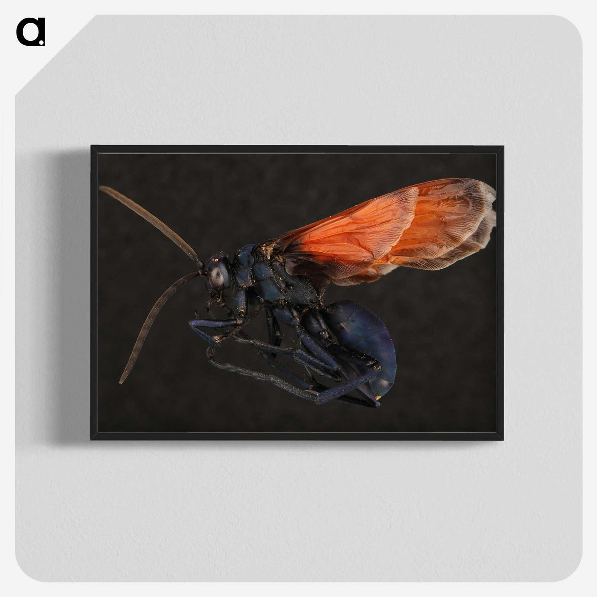 1-81_Insects-Unlocked-Project_blk-crop