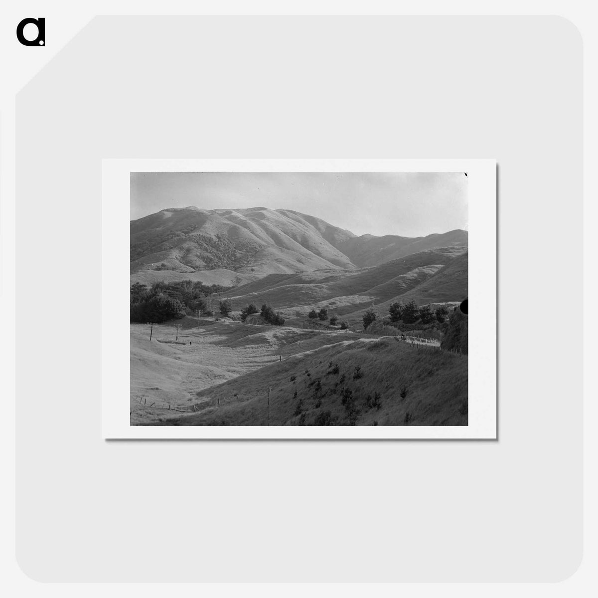1-81_James-Walter-Chapman-Taylor_hagaki