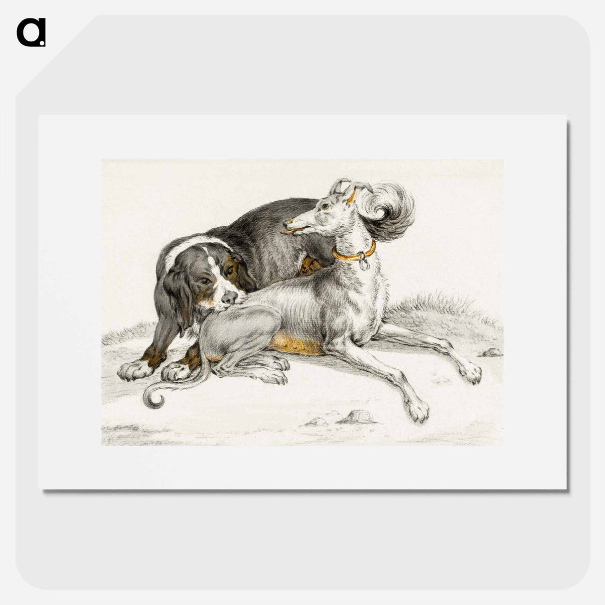 A dog bites another sitting dog - ジャン ベルナール Poster.