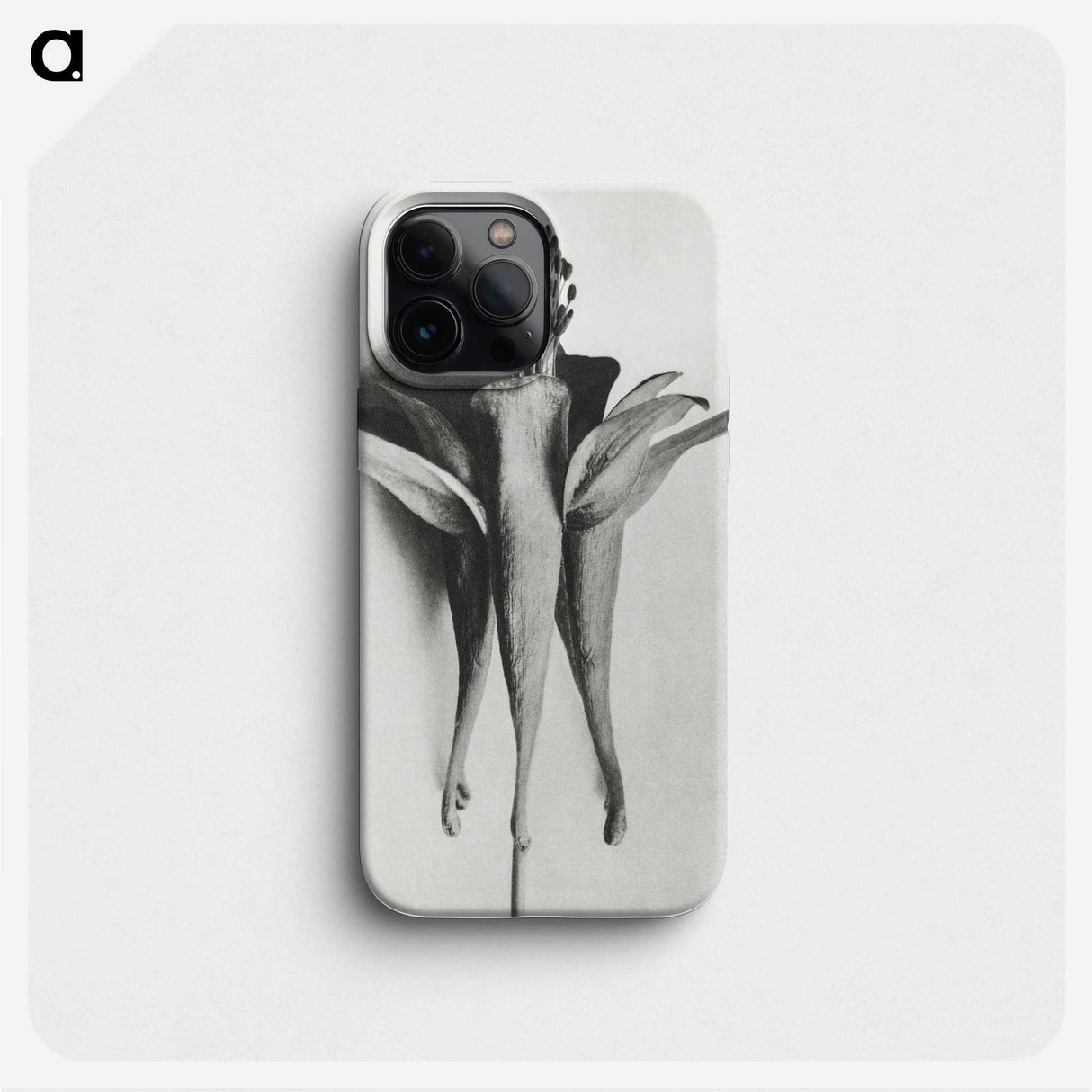 1-81_Karl-Blossfeldt_phone