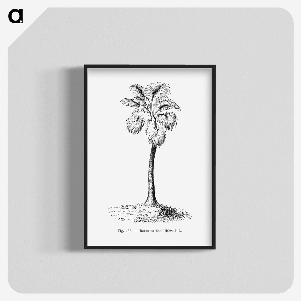 1-81_Les-Palmiers-Histoire-Iconographique_blk-crop