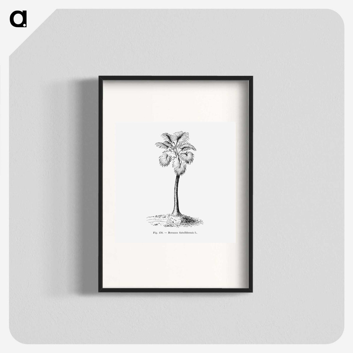 1-81_Les-Palmiers-Histoire-Iconographique_blk