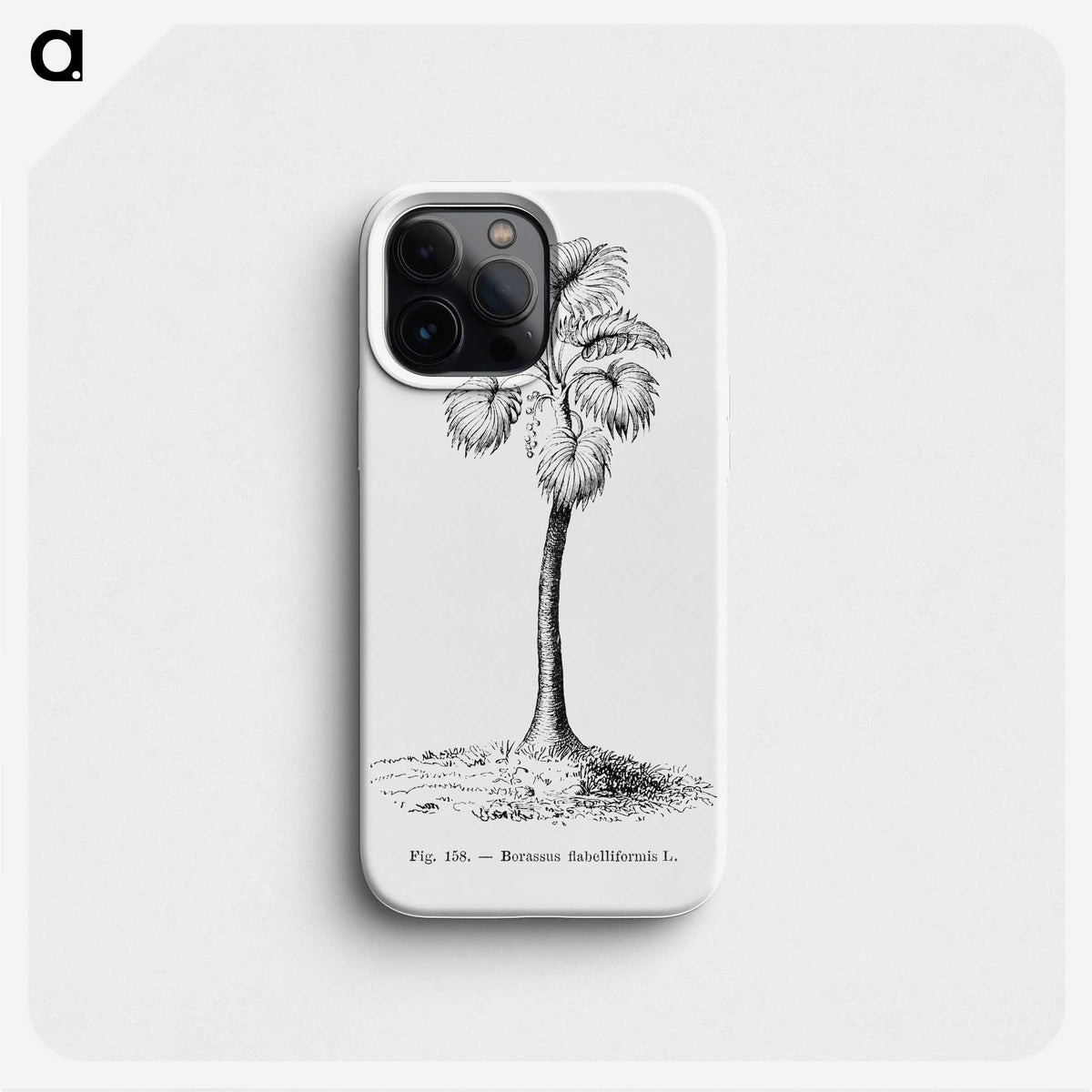 1-81_Les-Palmiers-Histoire-Iconographique_phone