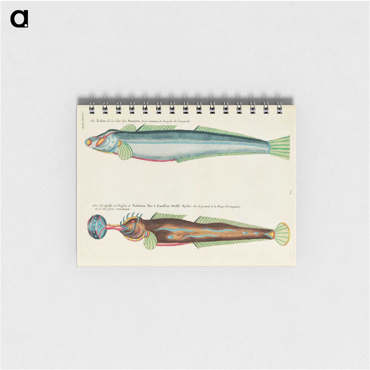 1-81_Louis-Renard_memo