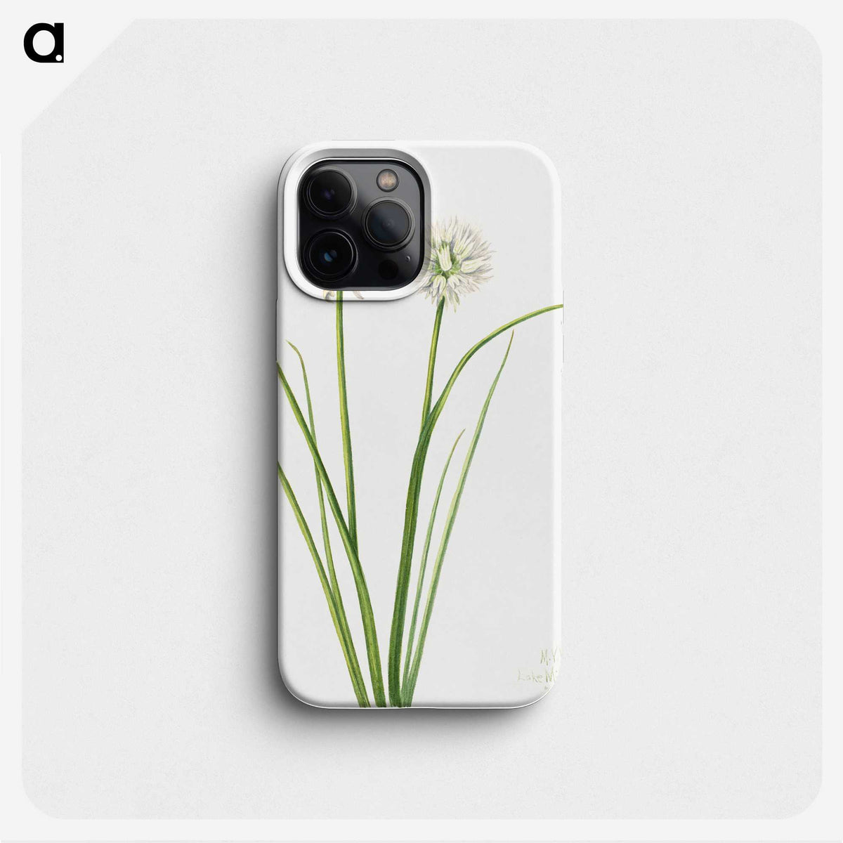 1-81_Mary-Vaux-Walcott_phone
