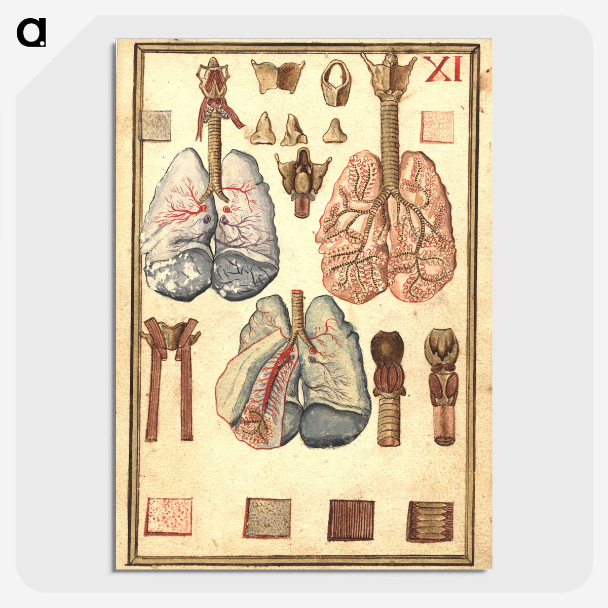 1-81_National-Library-of-Medicine_picture-crop