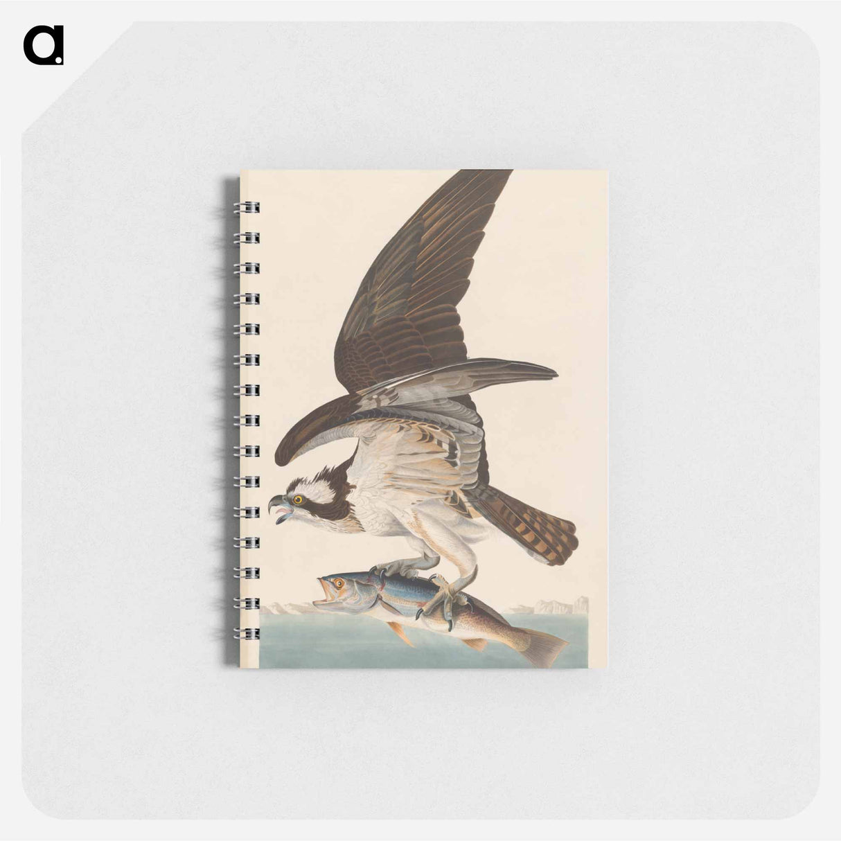 アートメモ帳-Fish Hawk, or Osprey
- アメリカの鳥たち Memo.