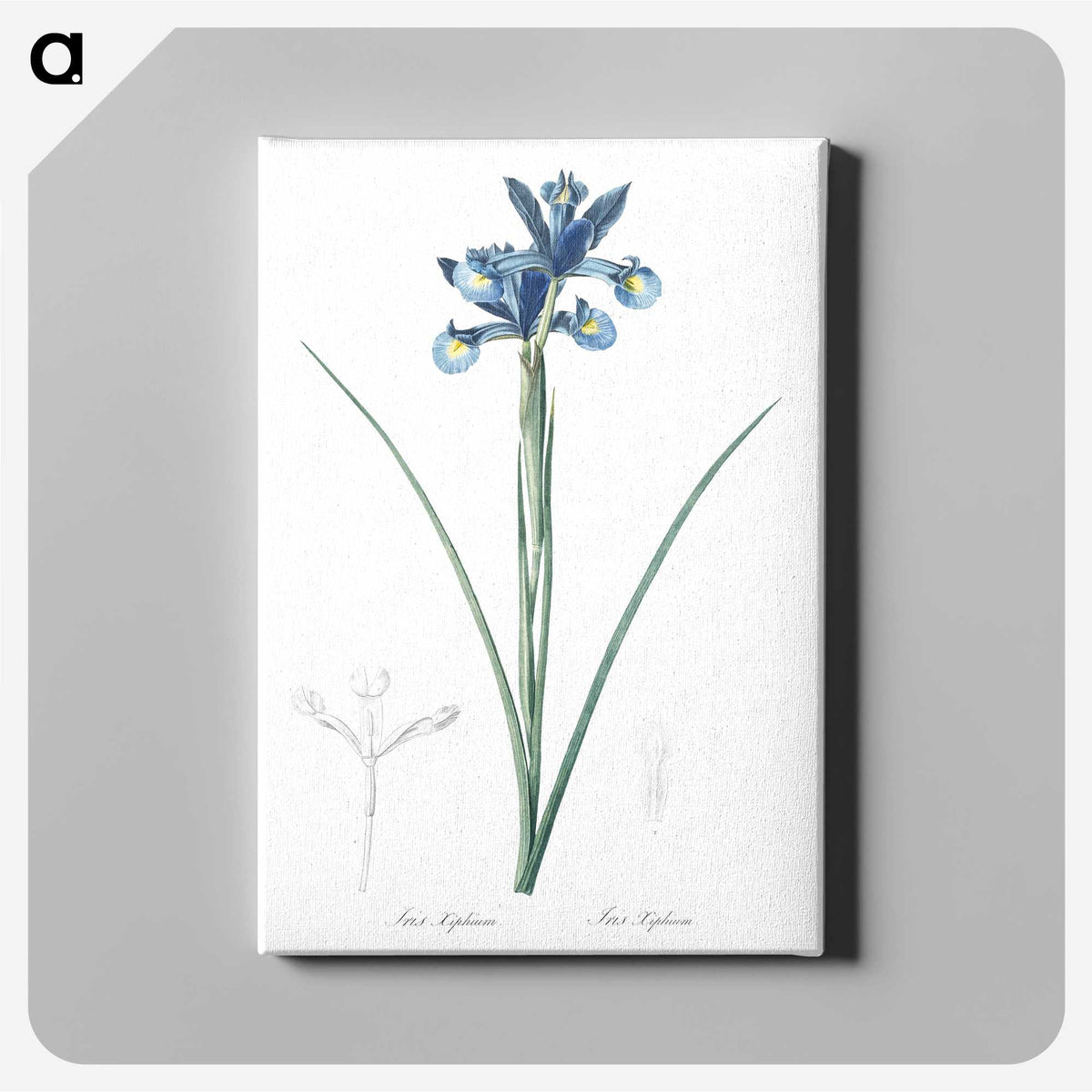 1-81_The-Lilies_canvas
