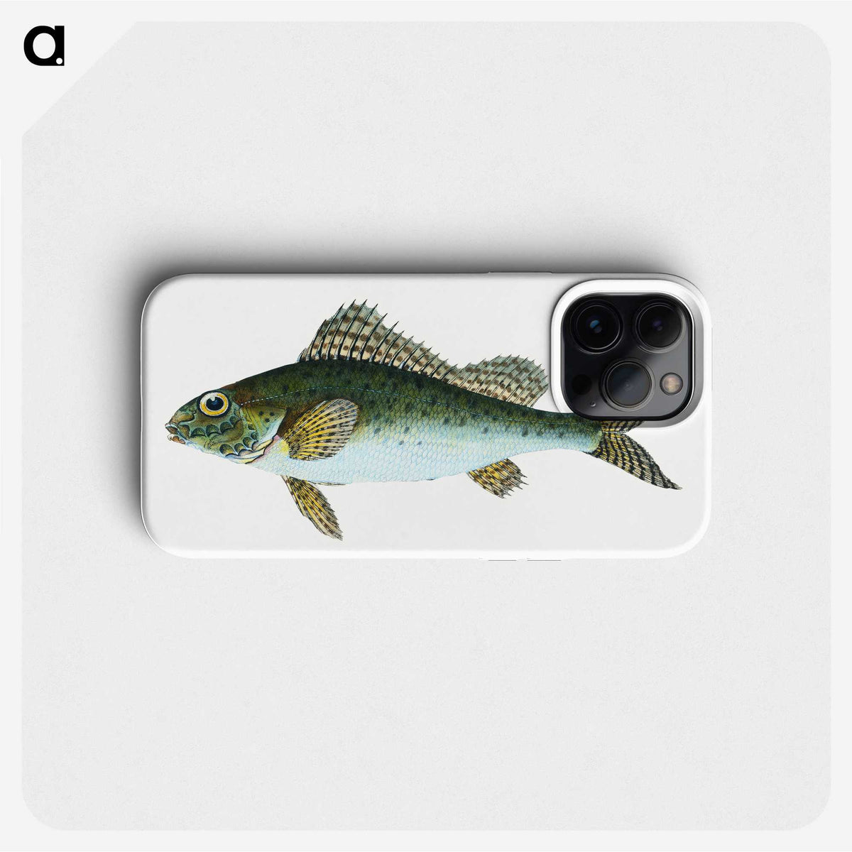 1-81_The-Natural-History-of-British-Fishes_phone