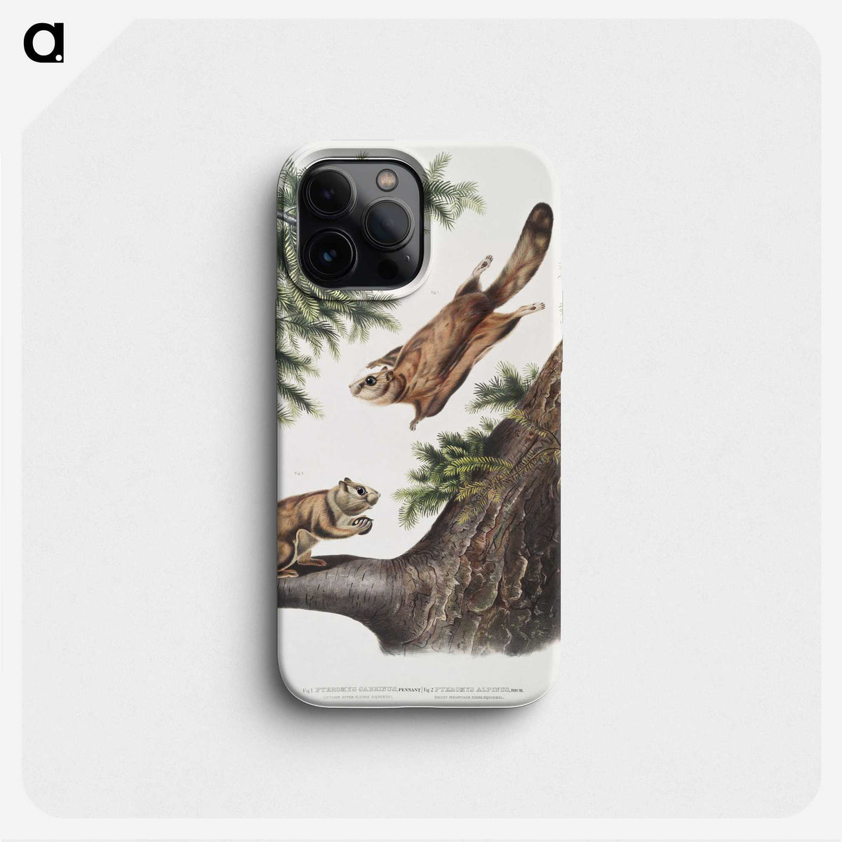 1-81_The-Viviparous-Quadrupeds_phone