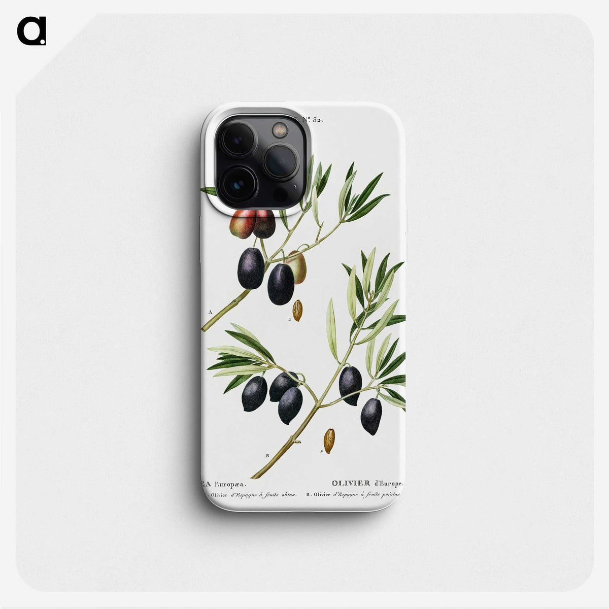 1-81_Treatise-on-Trees-and-Shrubs_phone