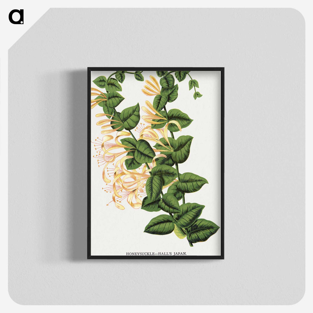 1-82_Botanical-Specimen-Plates_blk-crop