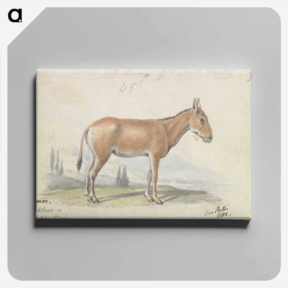 1-82_Charles-Hamilton-Smith_canvas