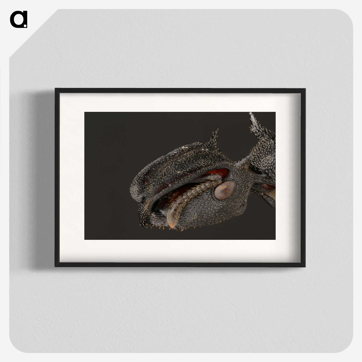 1-82_Insects-Unlocked-Project_blk