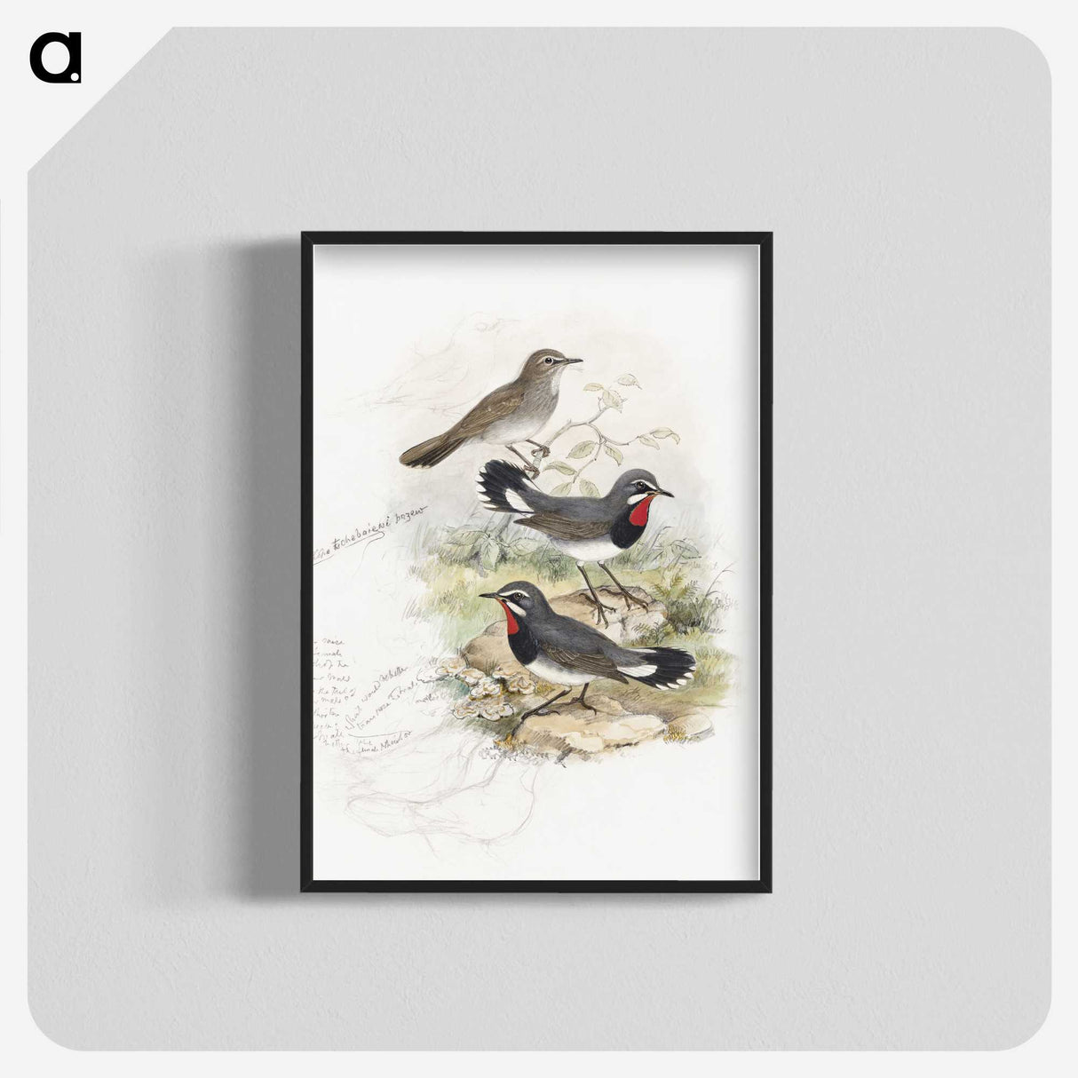 1-82_John-Gould_blk-crop