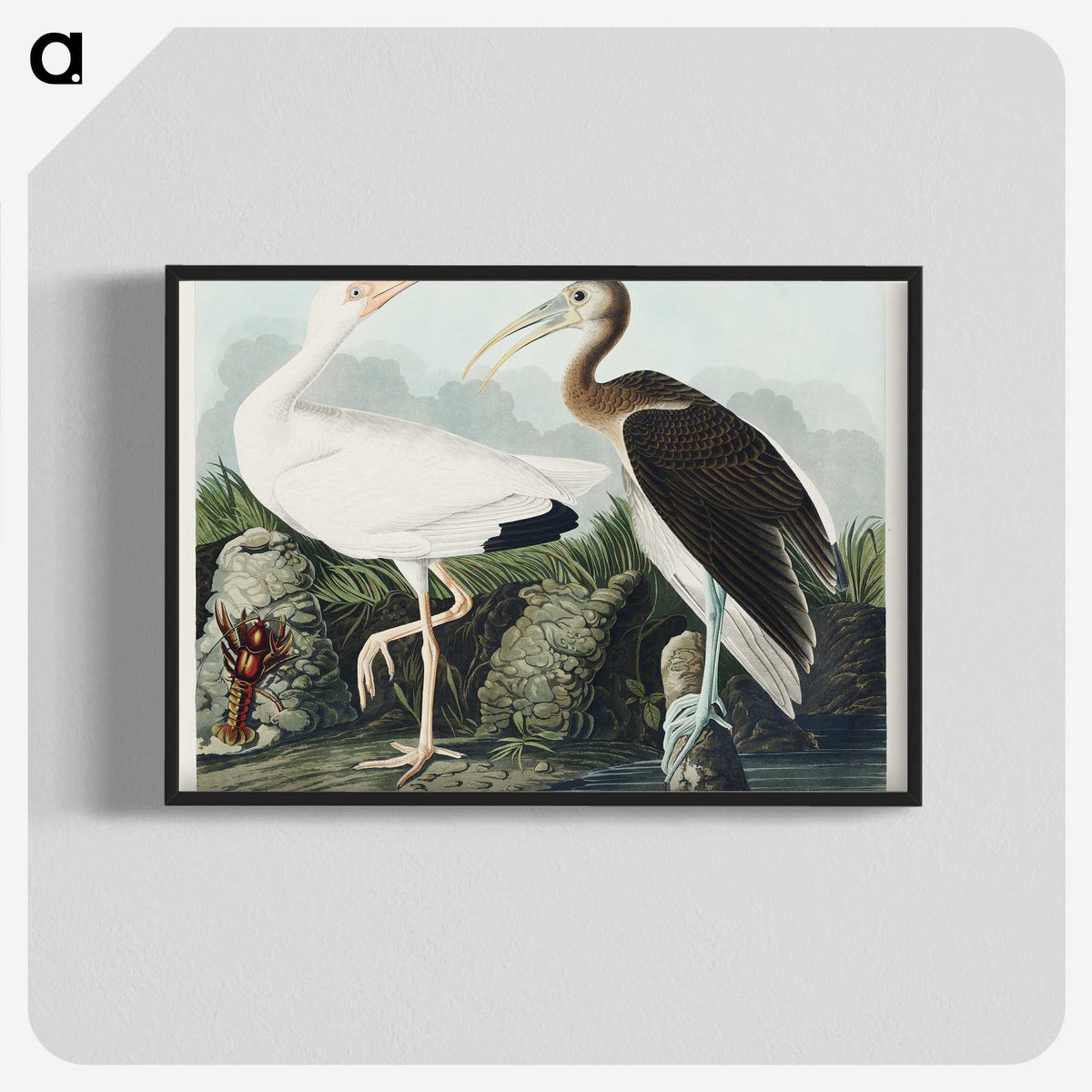 1-82_John-James-Audubon_blk-crop