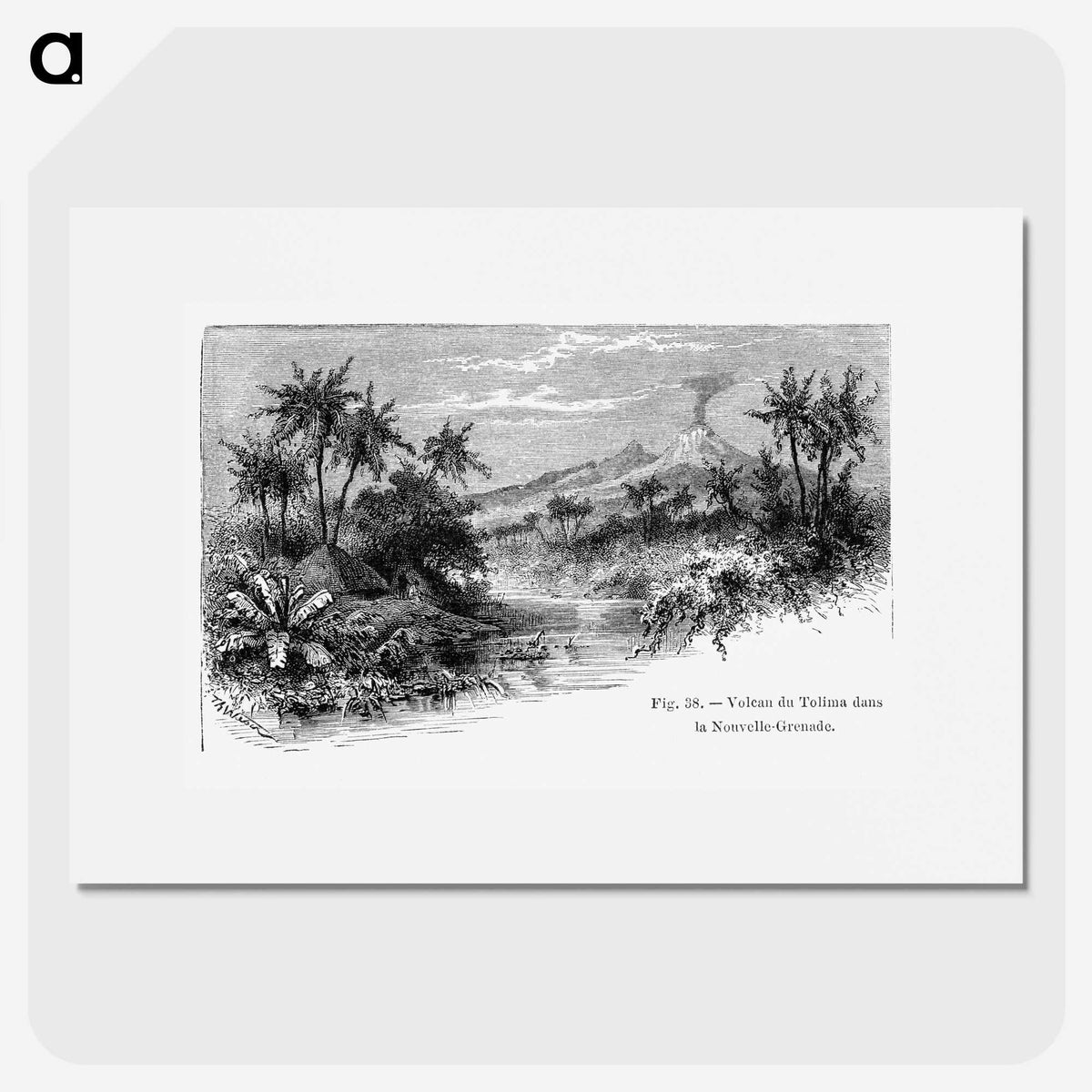 1-82_Les-Palmiers-Histoire-Iconographique_picture