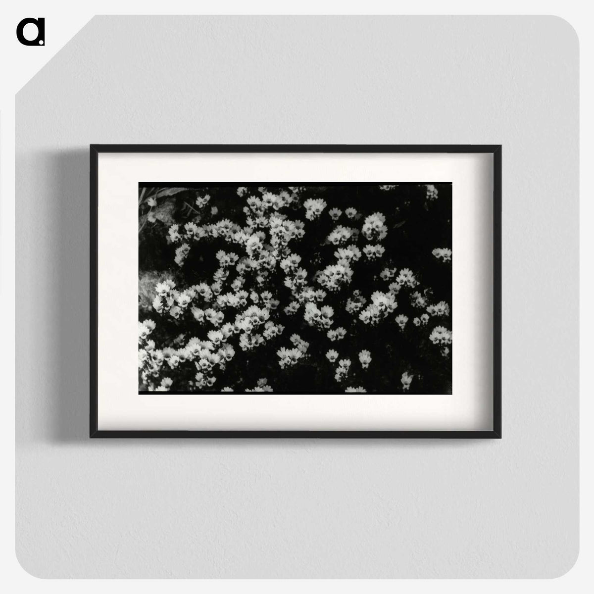 1-82_Leslie-Adkin_blk