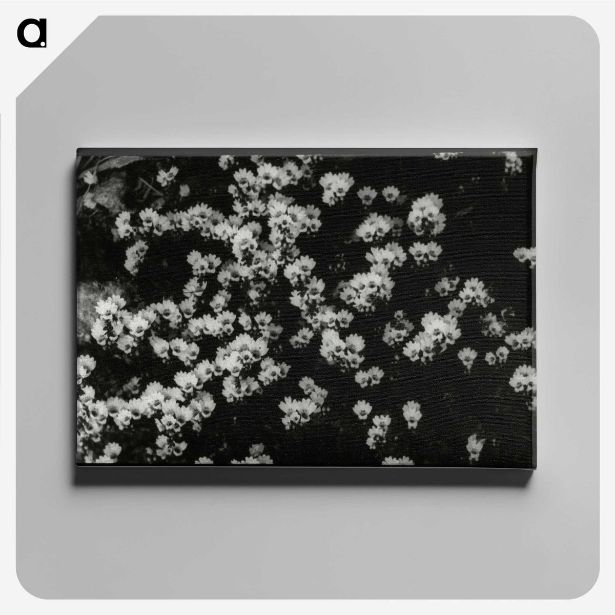 1-82_Leslie-Adkin_canvas