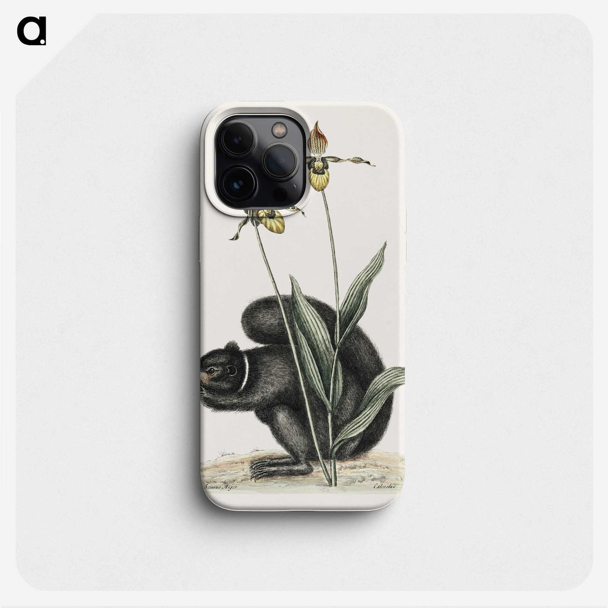 1-82_Mark-Catesby_phone