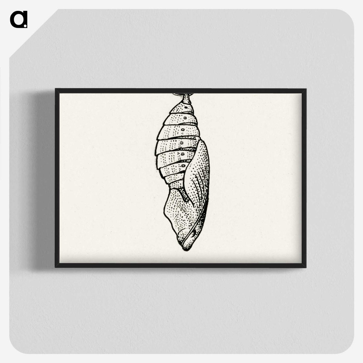 1-82_Moths-and-Butterflies-of-the-United-States_blk-crop