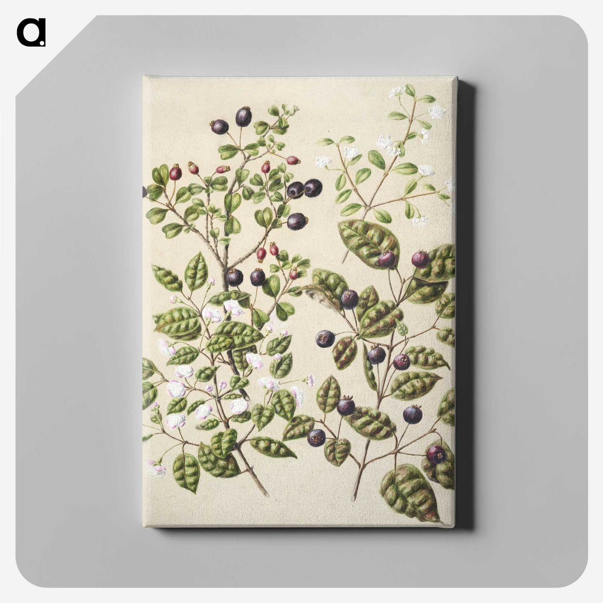 1-82_Native-Flowering-Plants-of-New-Zealand_canvas