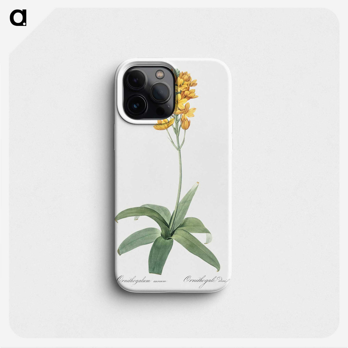 1-82_The-Lilies_phone