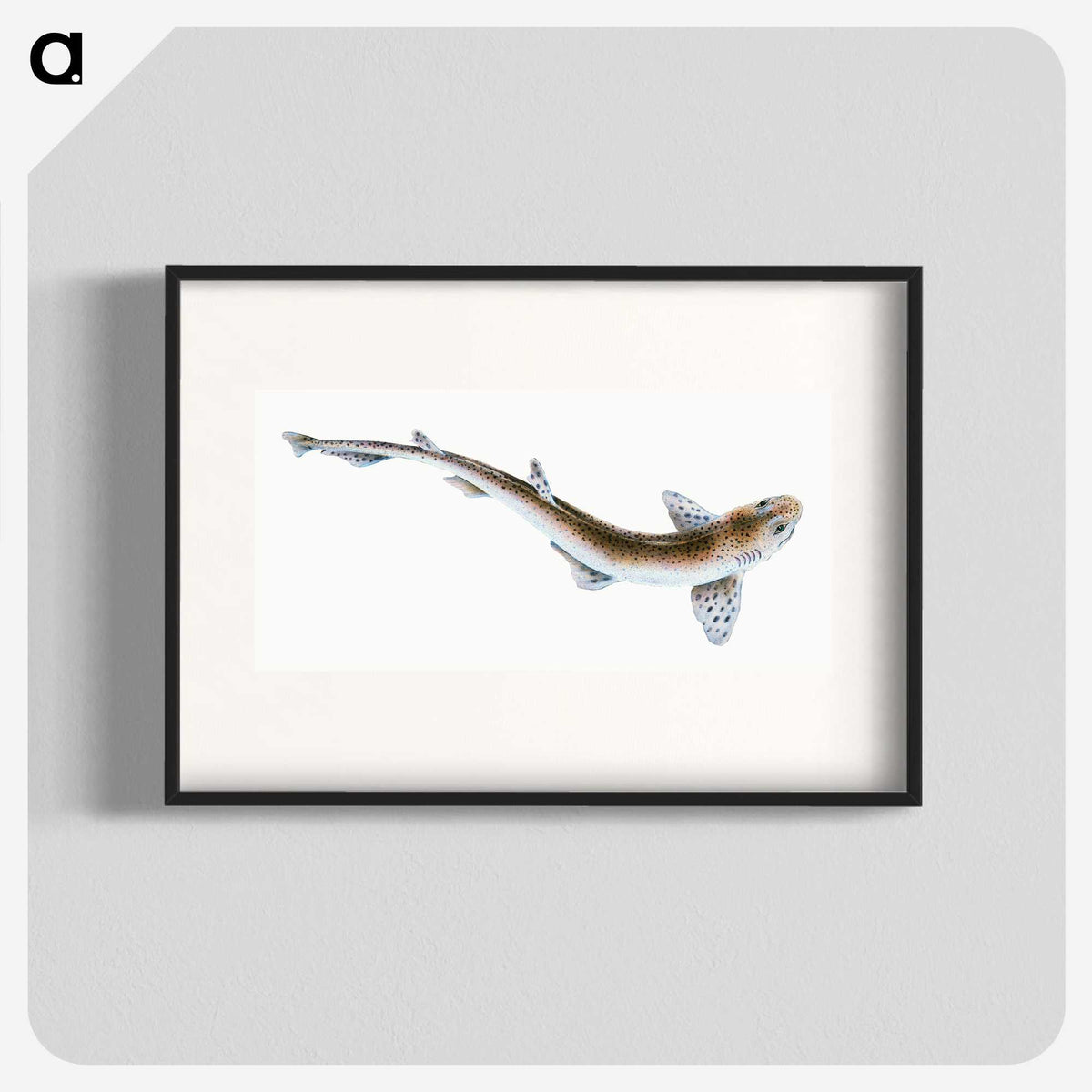 1-82_The-Natural-History-of-British-Fishes_blk