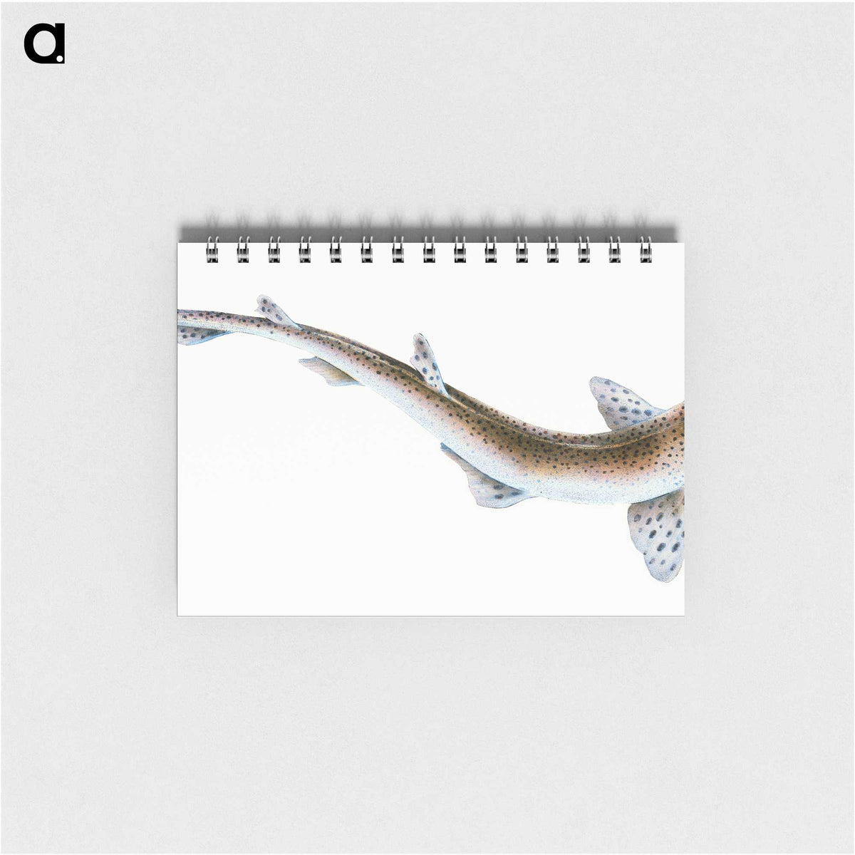 1-82_The-Natural-History-of-British-Fishes_memo
