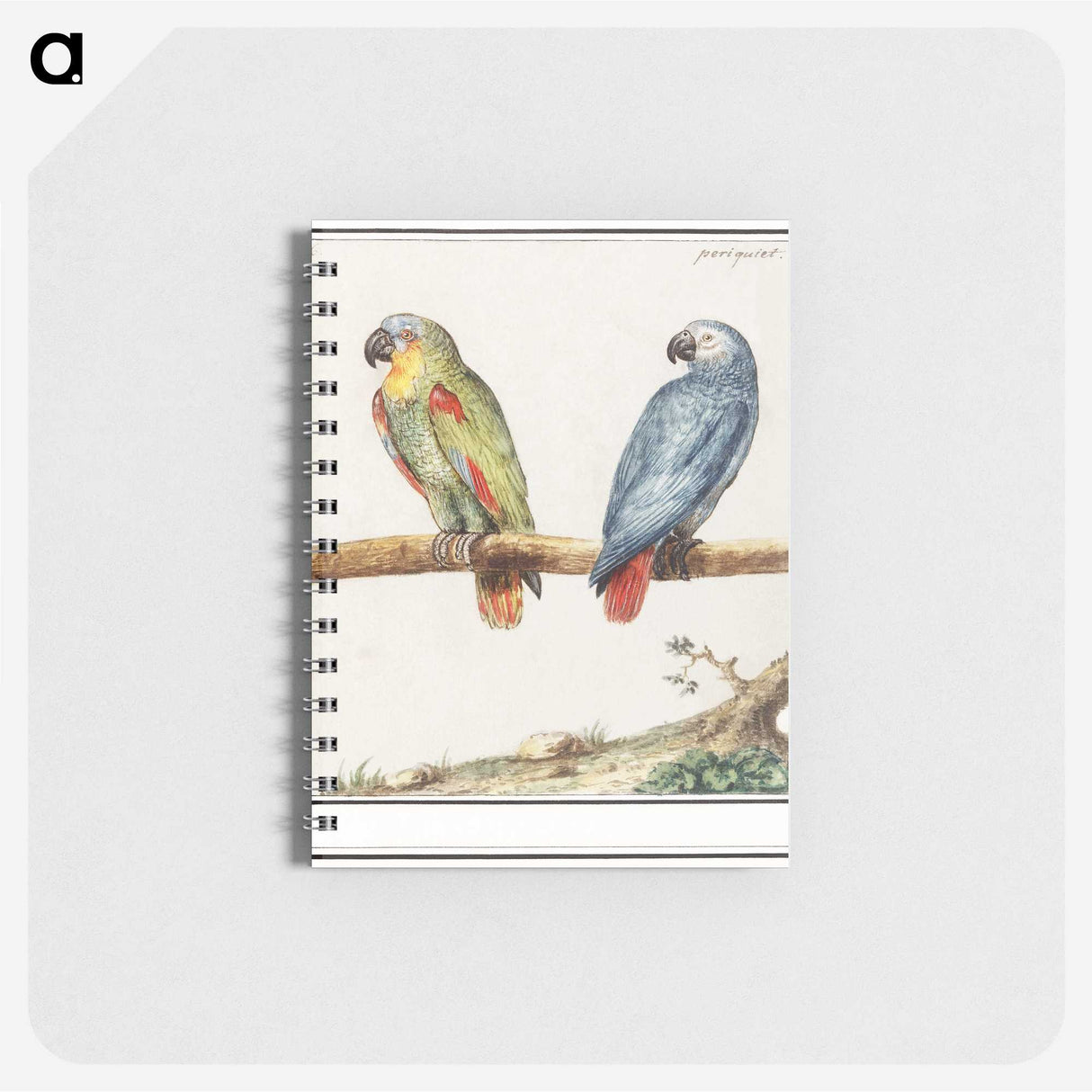 1-83_Anselmus-Boetius-de-Boodt_memo