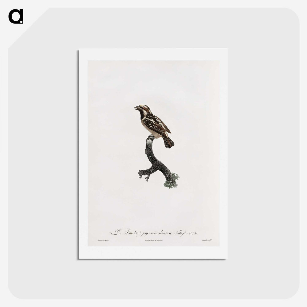 1-83_Des-Oiseaux-de-Paradis_hagaki