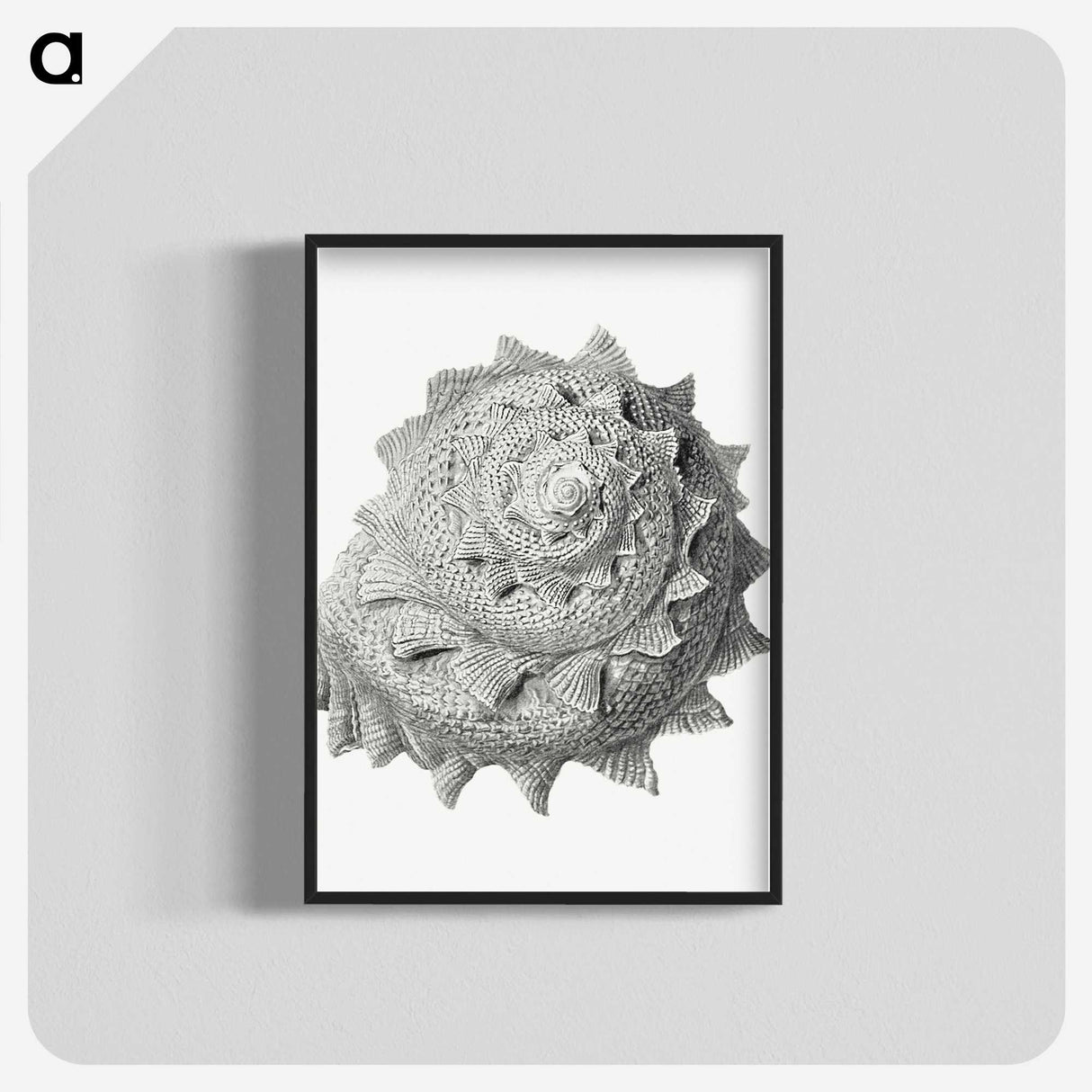 1-83_Ernst-Haeckel_blk-crop