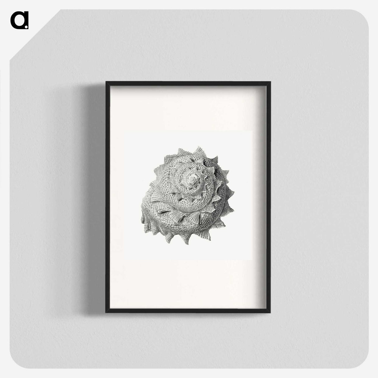 1-83_Ernst-Haeckel_blk