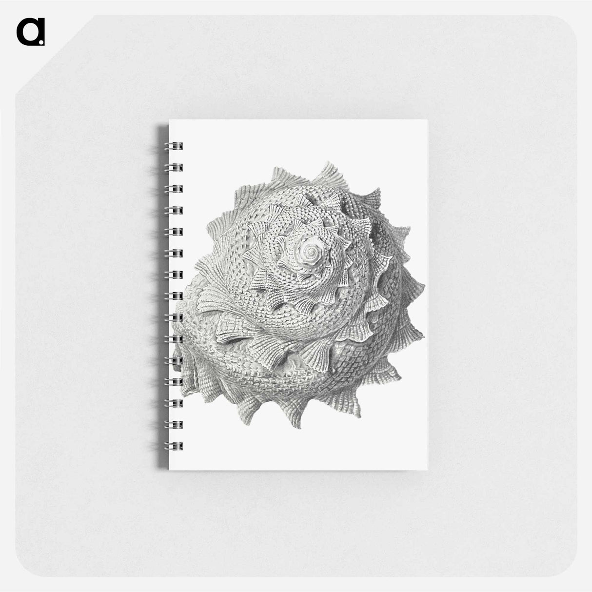 アートメモ帳-Vintage terrestrial snail illustration - エルンスト ヘッケル Memo.