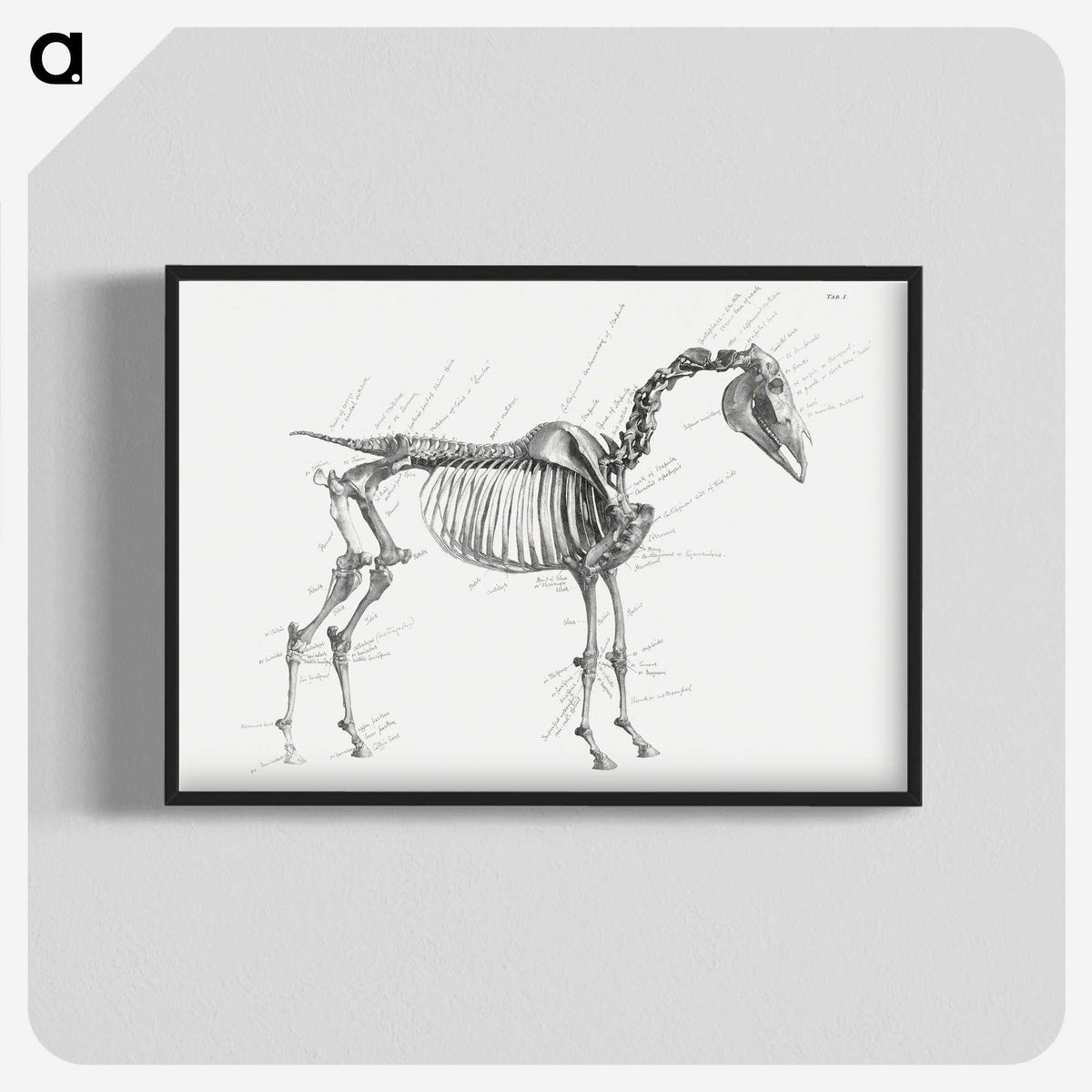 1-83_George-Stubbs_blk-crop