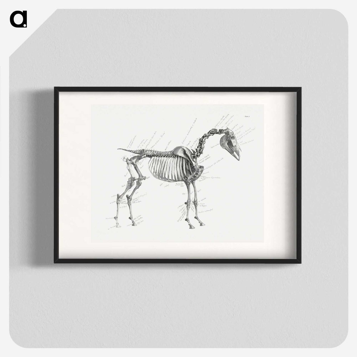1-83_George-Stubbs_blk
