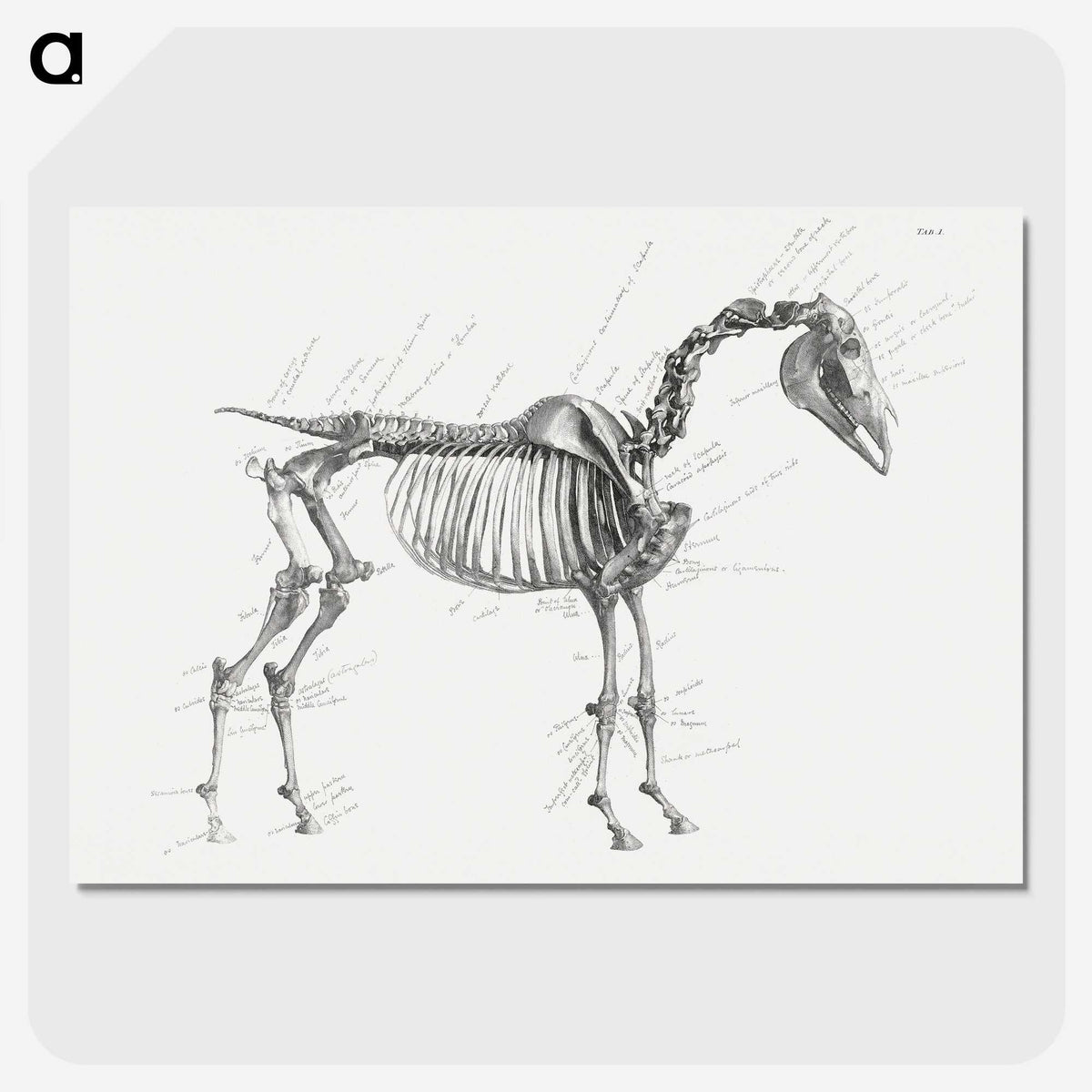 1-83_George-Stubbs_picture-crop