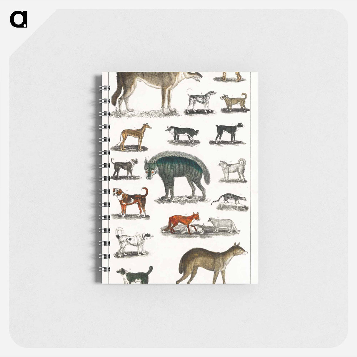 アートメモ帳-Canine and Feline Families
- ゴールドスミスの生き生きとした自然 Memo.