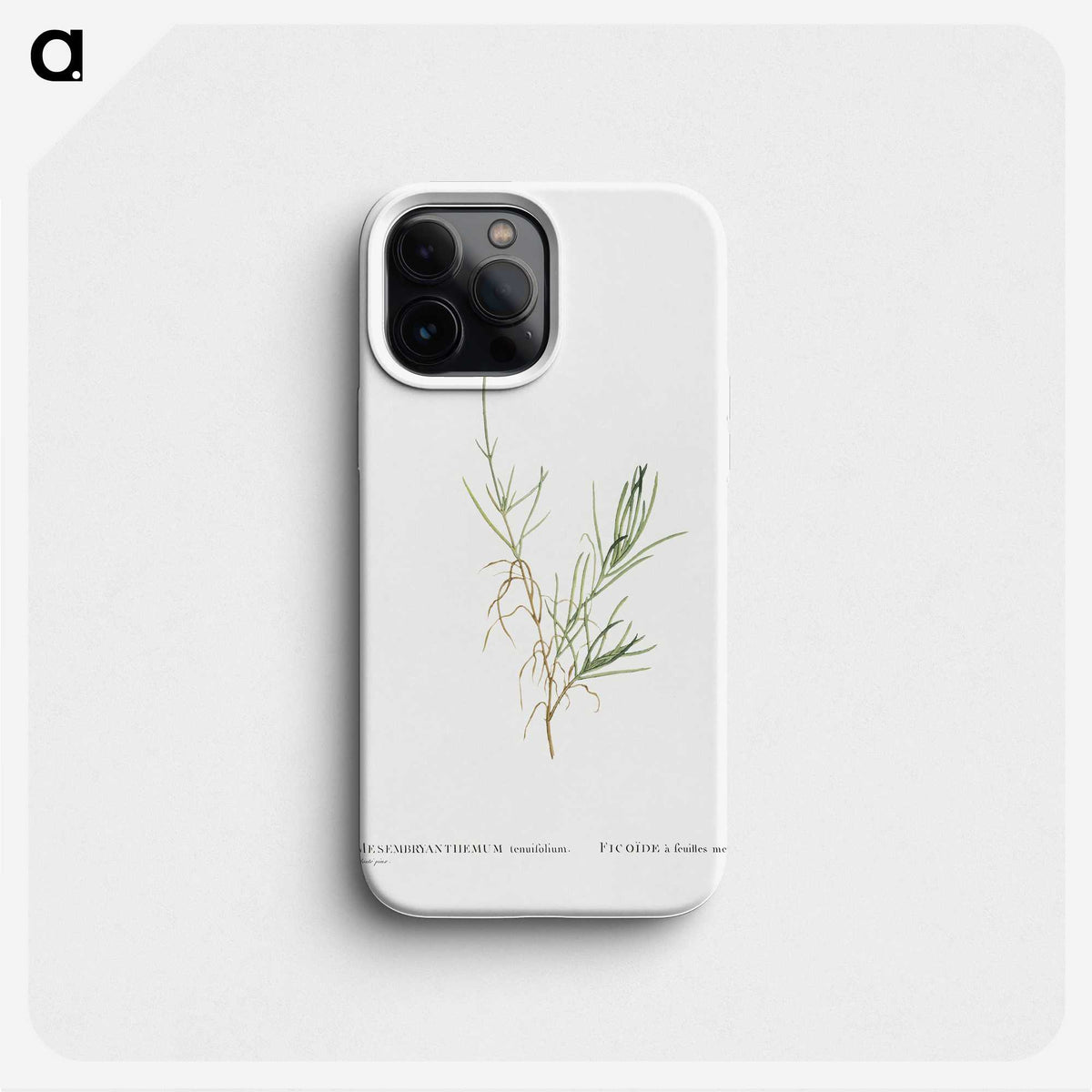 1-83_Histoire-des-Plantes-Grasses_phone