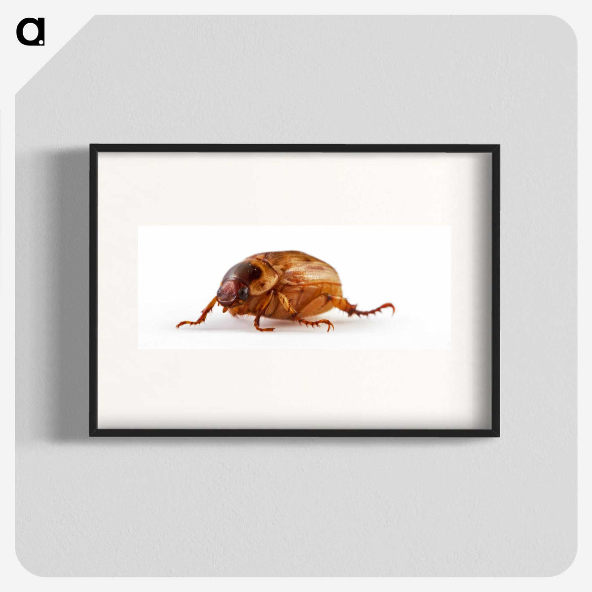 1-83_Insects-Unlocked-Project_blk