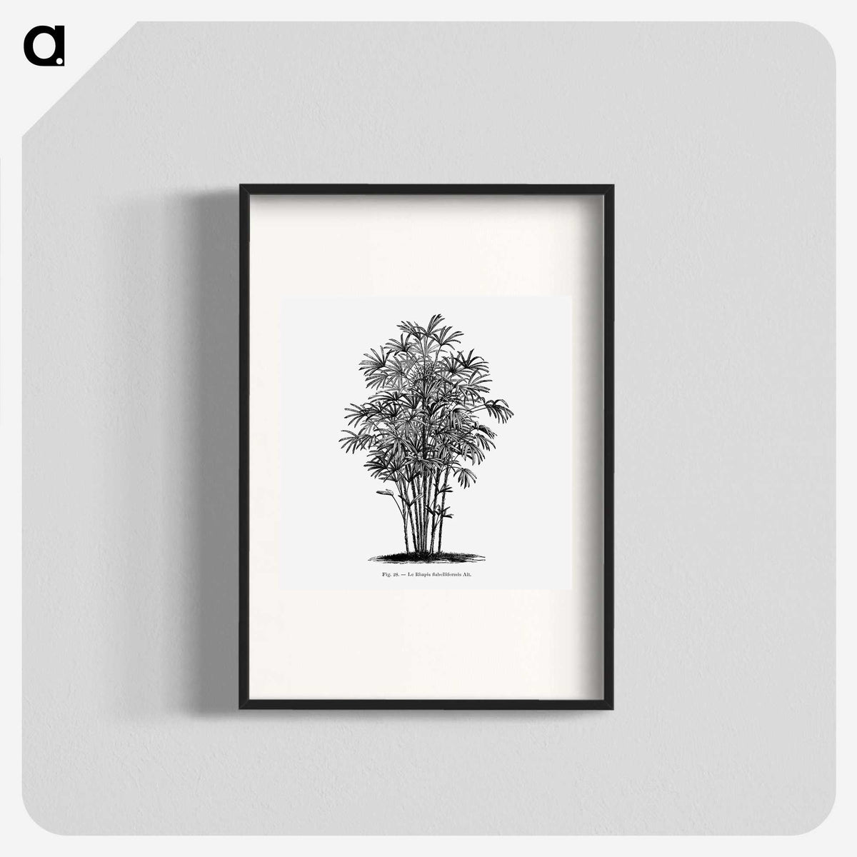 1-83_Les-Palmiers-Histoire-Iconographique_blk