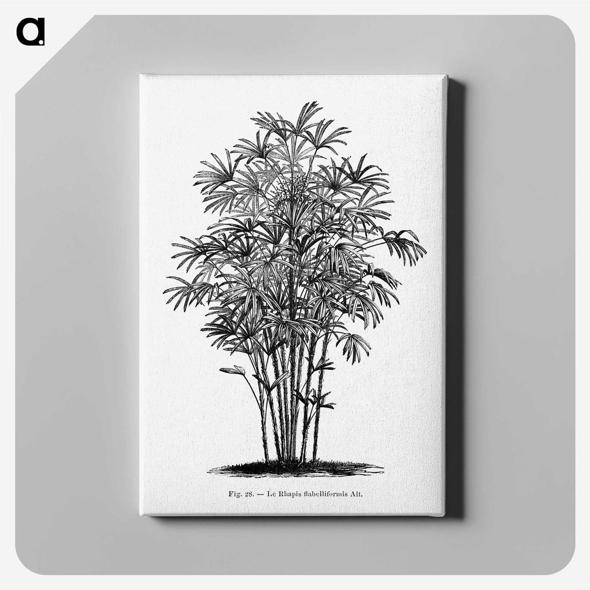 1-83_Les-Palmiers-Histoire-Iconographique_canvas