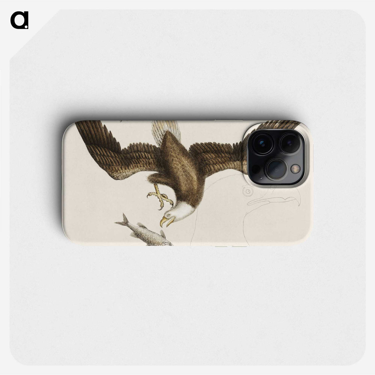 1-83_Mark-Catesby_phone