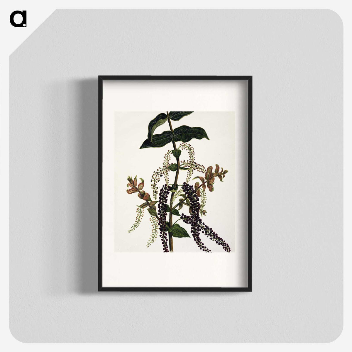 1-83_Native-Flowering-Plants-of-New-Zealand_blk