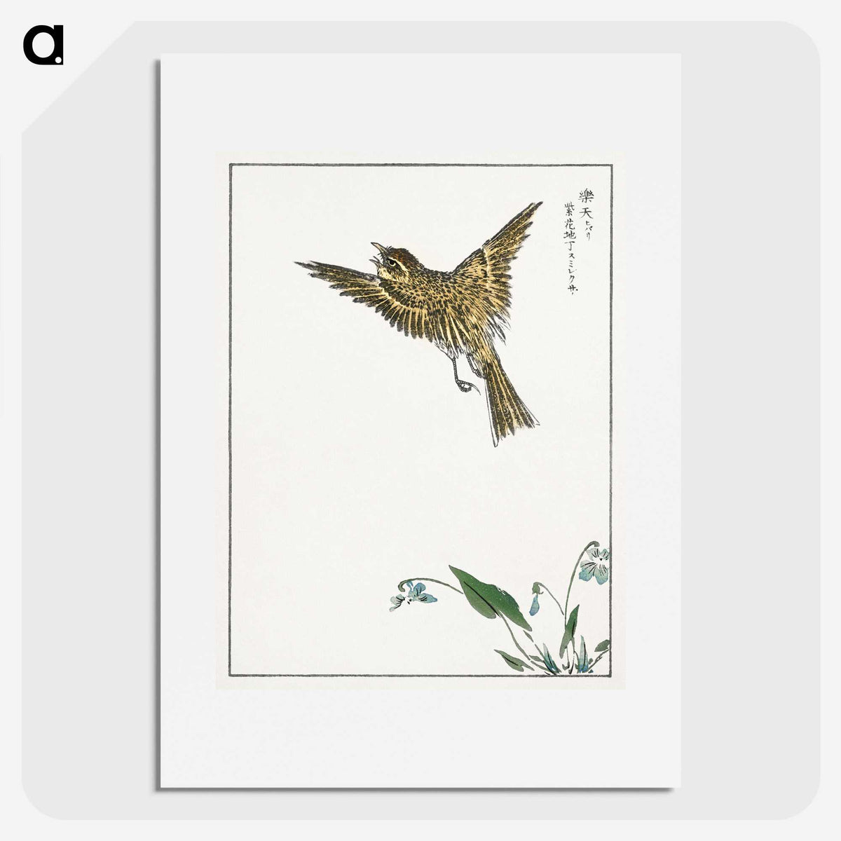 1-83_Pictorial-Monograph-of-Birds_picture