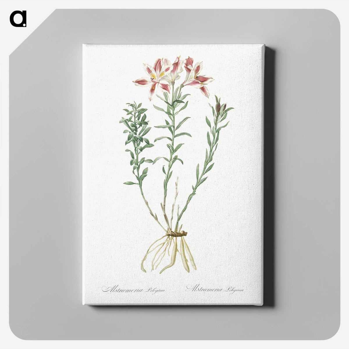 1-83_The-Lilies_canvas