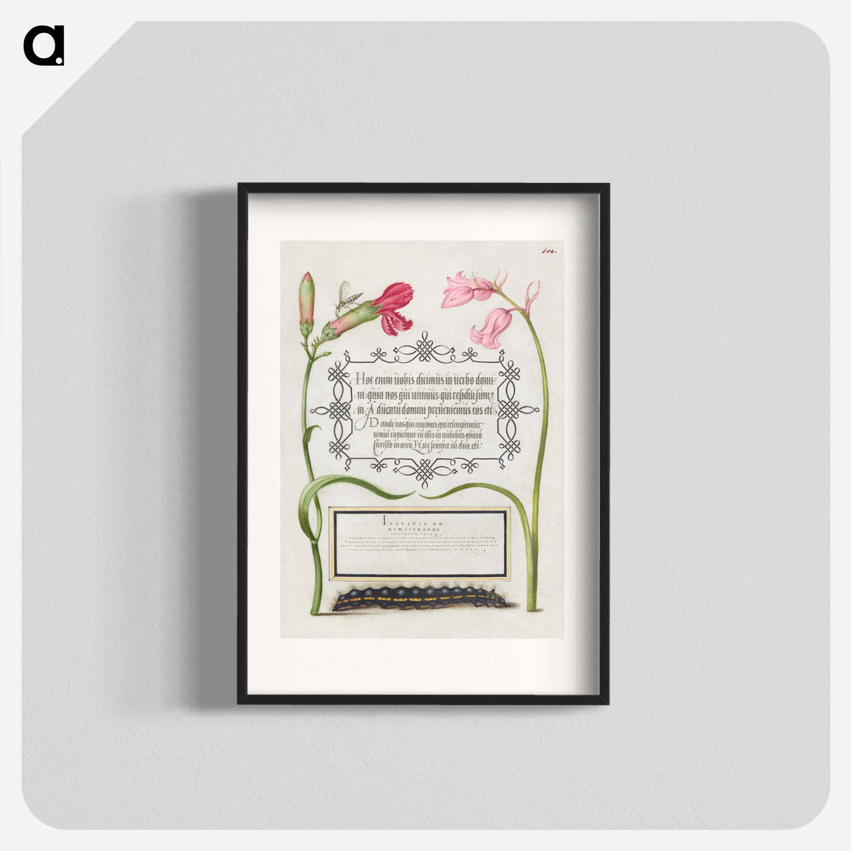 アートポスター-Imaginary Insect, Carnation, Bluebell, and Saturnid Caterpillar from Mira Calligraphiae Monumenta or The Model Book of Calligraphy
- 書道のお手本 Poster.